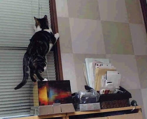 爱游戏大厅官网-争夺保级地带：最后几轮球队战术策略全面升级