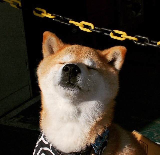 爱游戏电脑版官网-挪威队未能晋级欧洲杯，哈兰德表示失望，挪威队未能晋级欧洲杯,哈兰德表示失望吗